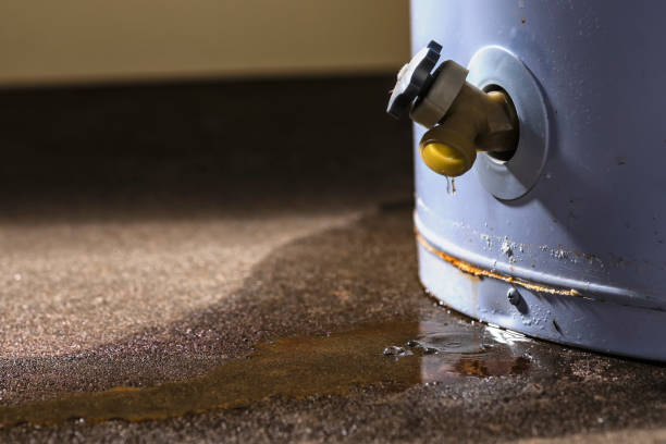 Water damage restoration experts in Kissimmee, FL