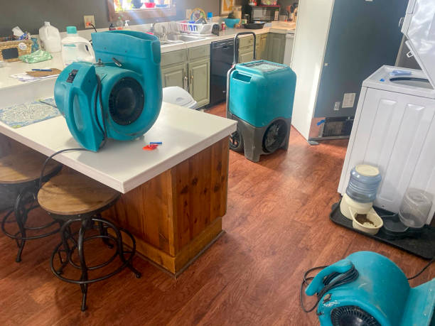 Best Water damage restoration insurance claims  in Kissimmee, FL