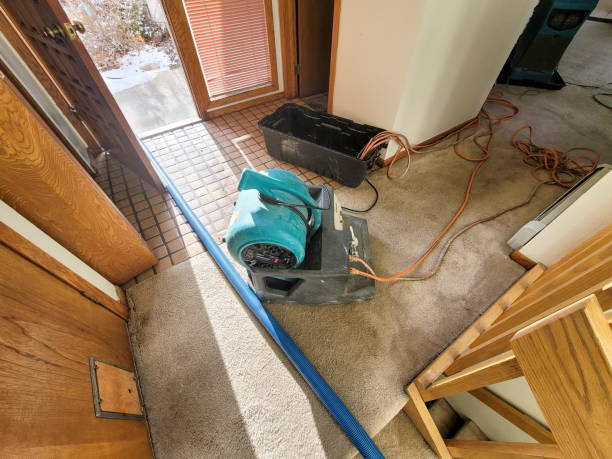 Best Water damage cleanup near me  in Kissimmee, FL