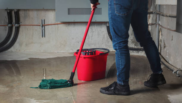 Best Water damage restoration near me  in Kissimmee, FL