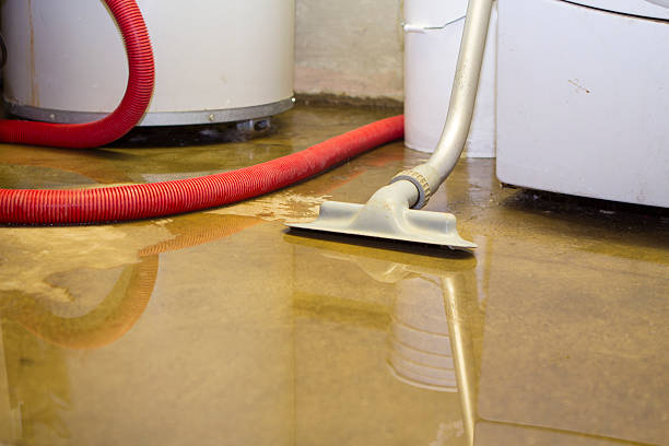 Best Flooded house restoration  in Kissimmee, FL
