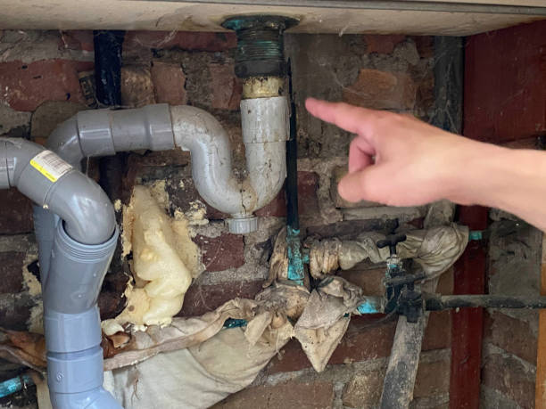 Best Fire Damage Restoration  in Kissimmee, FL