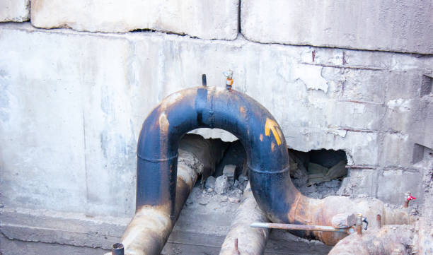 Best Mold removal after water damage  in Kissimmee, FL