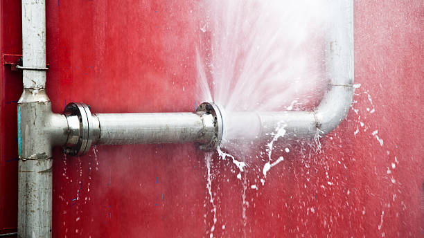 Best Flood damage cleanup  in Kissimmee, FL
